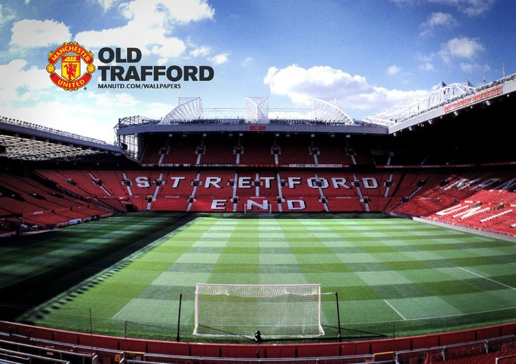 鹈鹕打出亮 鹈鹕打出亮